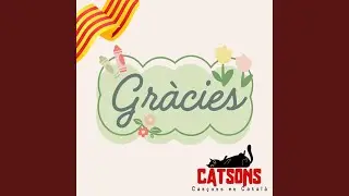 Gràcies per compartir