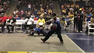 WEKAF 15th World Championship - Team Performance