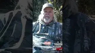О каком животном он говорит? Осеола, Флорида