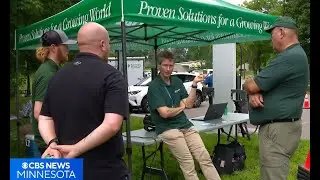 AI Tree Tech in Plymouth