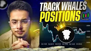 Earn $10&ndash;$20 Daily by Tracking Crypto Whales 🐋 | Secret Strategy Revealed!