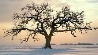 Essential and Core  (Creative Visualization)