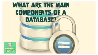 What are the main components of a database?