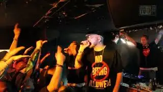 Daltone & Organismen Live @ Henriksberg (2010)