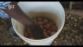 The journey of a confessed poultry farmer: Hermine Sekou Success story GIZ