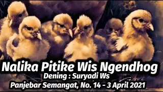 YEN PITIKE WIS NGENDHOG