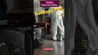 BedBugs #bedbugs # #pest #pestmanagement #pestcontrol #insectcontrol #instagram #termitemanagement
