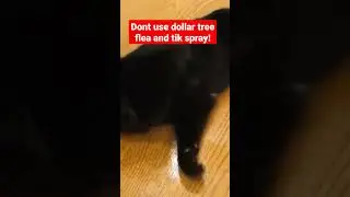 dollar tree flea and tick spray #dollartree #viral #fyp #shorts