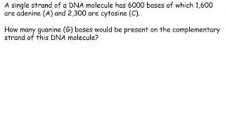 DNA Bases - Problem Solving - National 5 Biology.