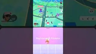 ✨️Litten Community Day! #pokemongocommunityday #litten #pok&eacute;mon #shinypokemon #shinylitten