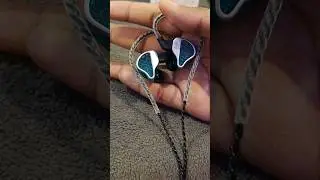 Premium Sound on a Budget ₹2000 IEM vs Expensive Earbuds