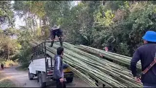 Bamboo cutting for construction of Bro.Honi Hago Sister Honi  Yeli  at pochu village 23.01.2026.