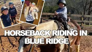 Horseback Riding in Blue Ridge, Georgia Mountains | Appalachian Trail Riding | Pangani Tribe