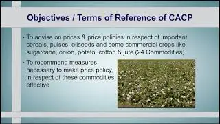 Agricultural Pricing