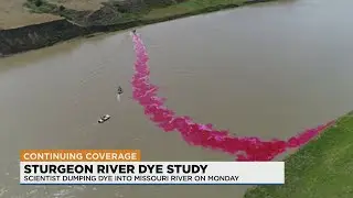 Missouri River to change color so scientists can study endangered fish
