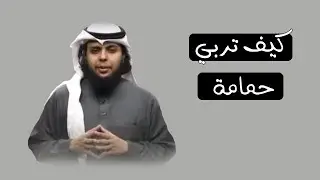 تربية صالح حمامة