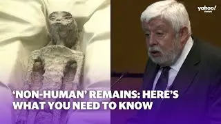 &lsquo;Non-human&rsquo; remains presented in Mexico: Here&rsquo;s what you need to know | Yahoo Australia