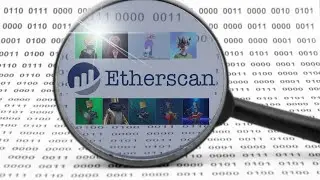 How to use Etherscan to track your NFT - Etherscan Basics