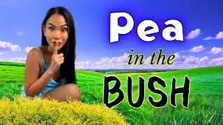 An Australian Adventure - Deep In The Bush With Pea!