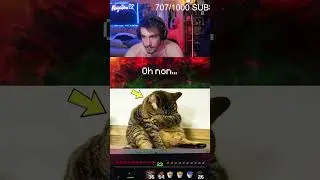 C&rsquo;est pour &ccedil;a que vous &ecirc;tes pas dr&ocirc;le | #uhcworld #pvpgym #minecraft #zlan #drole #funny #streamer