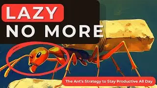 Lazy No More! The Ant&rsquo;s Strategy to Stay Productive All Day