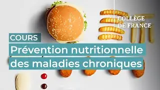 Prévention nutritionnelle des maladies chroniques (5) - Mathilde Touvier (2022-2023)