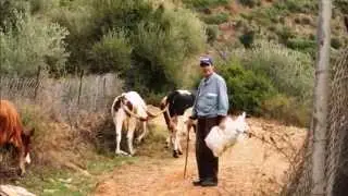 Akli Yahiatene yalaɛlam