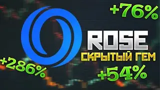 OASIS Network - Обзор Криптовалюты ROSE | Стоит ли Инвестировать, Прогноз Цены