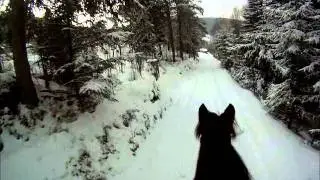 Sn&oslash;rekj&oslash;ring med hjelmkamera 2.1.2012