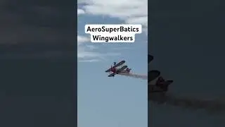 AeroSuperBatics Wingwalkers