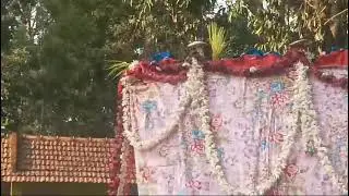 Hale aldur suggi habba
