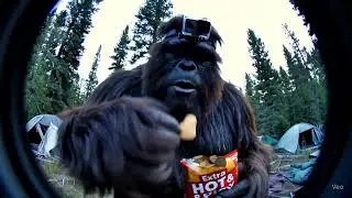 lost my shit in the woods big ape vlogs #2
