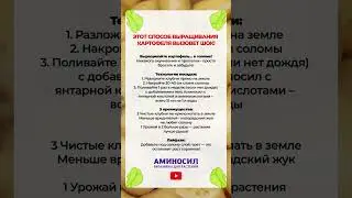 ЛУЧШИЙ способ для выращивания КАРТОФЕЛЯ! #сад #картофель #огород