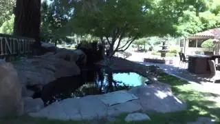 Western Pacific Elevators (Compilation) Paso Robles Inn - Paso Robles Inn