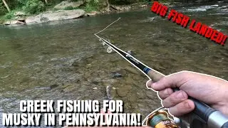 CREEK FISHING FOR MUSKY IN PENNSYLVANIA! FISH LANDED!!