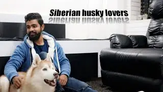 Siberian husky dog standard explained | Interview with jai makkar | Team furry poms