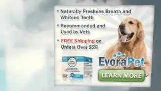 Where Can i Buy Evora Pet ,Evora Pet Reviews  Fresher Breath & Cleaner for Dogs