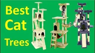 Top 5 Cat trees | Best Cat trees 2018 ||