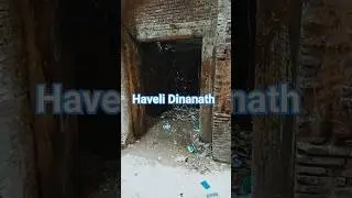 Haveli Dinanath #viralshorts #shorts #lahore #tourism #vloging #walledcity