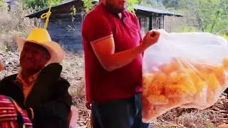 Andrea Sánchez[2025] parte 2/2