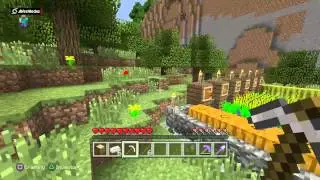 MINECRAFT Diamonds To You trophy guide PS4 only