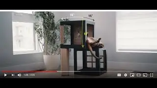 New Inventions 2020: HabiKatt | The modular and customizable cat tree that's as unique as your cat!