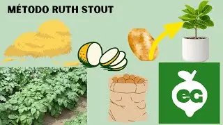 DISCOVER THE BEST WAY TO GROW POTATOES, and the Ruth Stout Method |YOU WILL GET HUNDREDS OF POTAT...