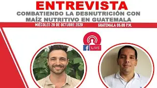 COMBATIENDO LA DESNUTICI&Oacute;N CON MA&Iacute;Z NUTRITIVO