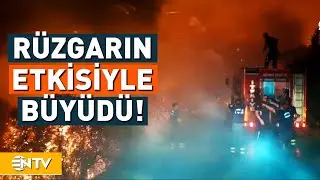 Tunceli'de Korkutan Yangın! 4 İlçenin İtfaiye Ekibi İle Jandarma Seferber Oldu | NTV