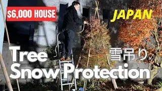 $6000 house in Japan: Protecting the garden in winter