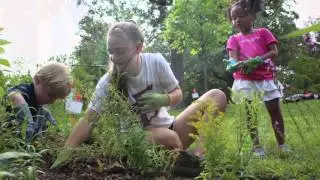 Quaker Education for Today's World