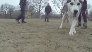 Kasey Working the Recall