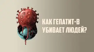 Как гепатит-В убивает людей?