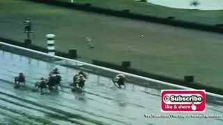 CARRY BACK wins 1961 FLORIDA DERBY